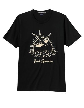 ユニクロTシャツ2