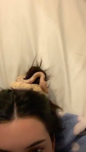 スクリーンショット 2019-03-12 23.20.34