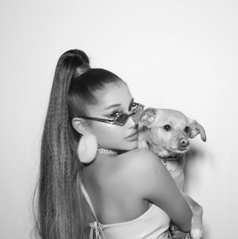 スクリーンショット 2019-02-01 01.17.02