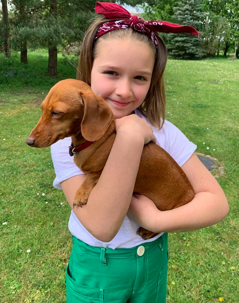 スクリーンショット 2019-07-11 14.18.25