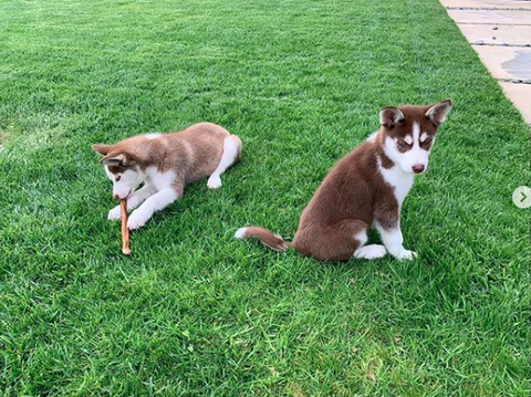 スクリーンショット 2020-04-28 19.50.25