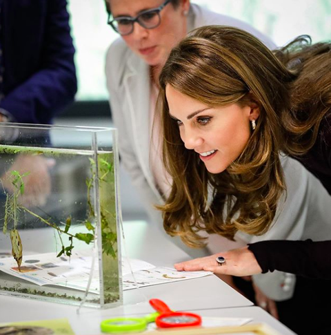 スクリーンショット 2019-10-09 23.51.14