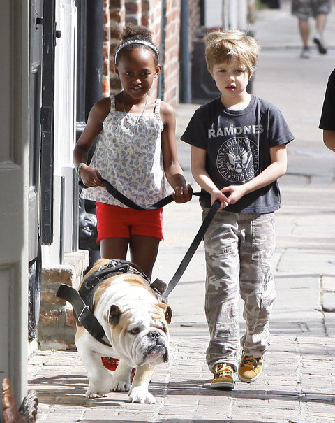 ShilohDOG030712_05_X17