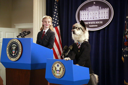 DOGWITHABLOG_Y1_021_006