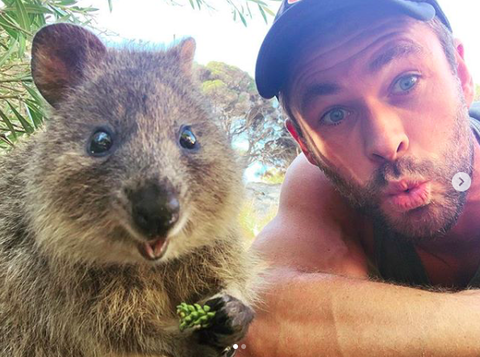 スクリーンショット 2019-03-18 20.40.20