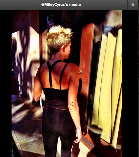 mileycyrus20132_2