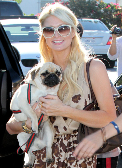 philtonpart2082310_01_X17