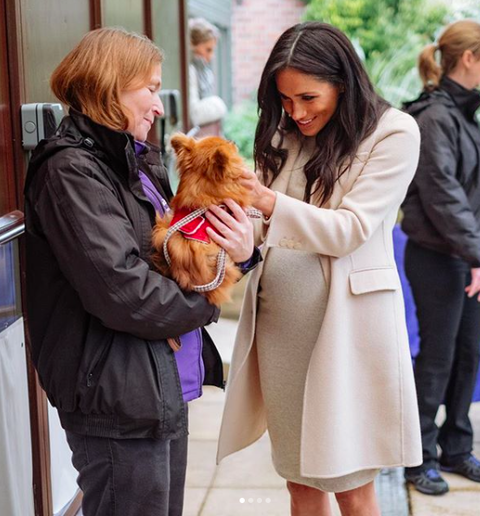 スクリーンショット 2019-01-17 09.37.18