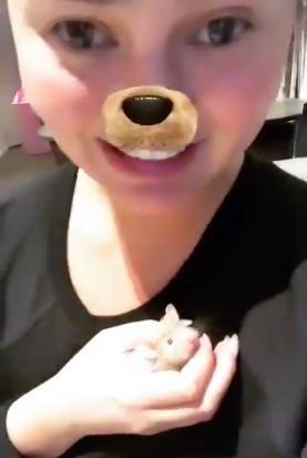 スクリーンショット 2019-03-14 18.13.34