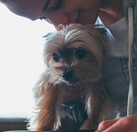 スクリーンショット 2020-04-08 21.12.53