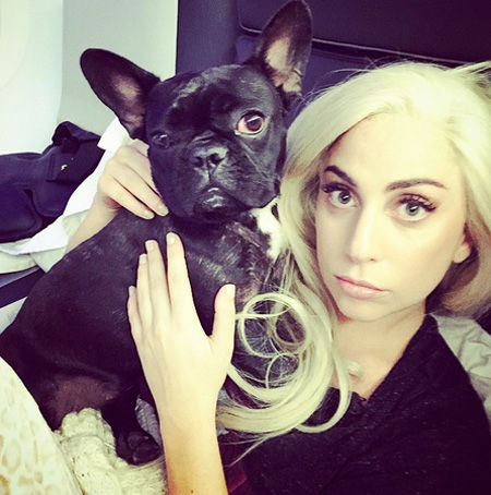 gaga2015214_02