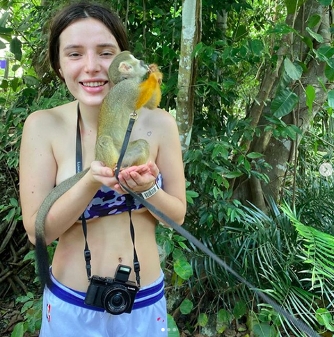 スクリーンショット 2019-12-29 13.41.12