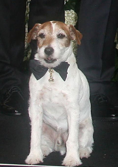 uggie2012227_4