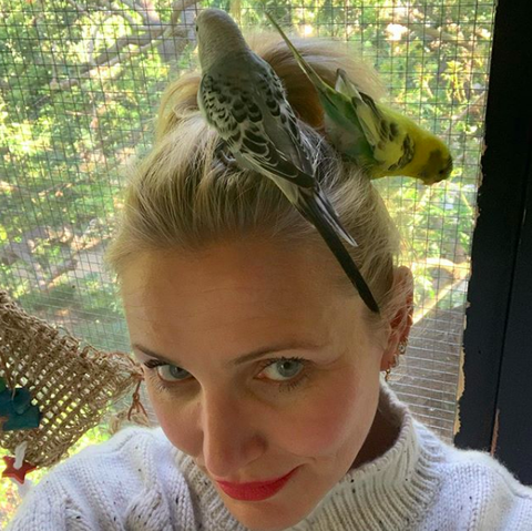 スクリーンショット 2020-04-23 19.31.41