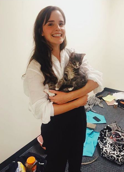 スクリーンショット 2019-08-10 16.34.13