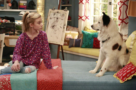 DOGWITHABLOG_Y1_021_004