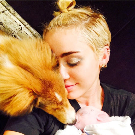 miley2014811_05