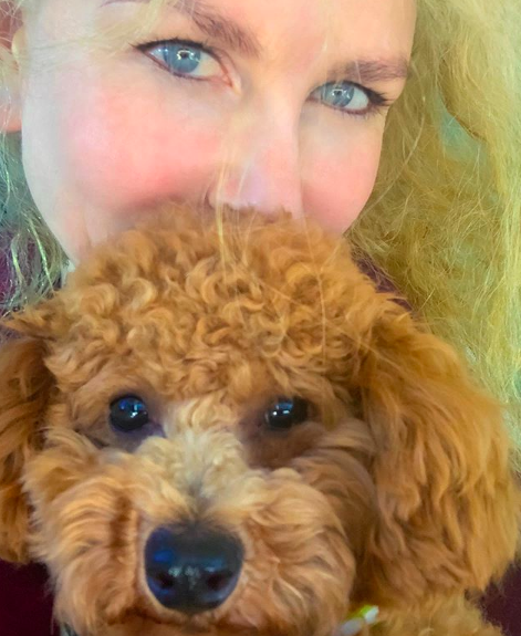 スクリーンショット 2020-04-06 20.55.17