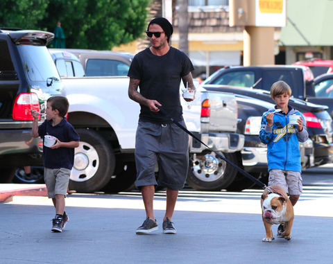 DBeckhamExcluDOG051011_14_X17