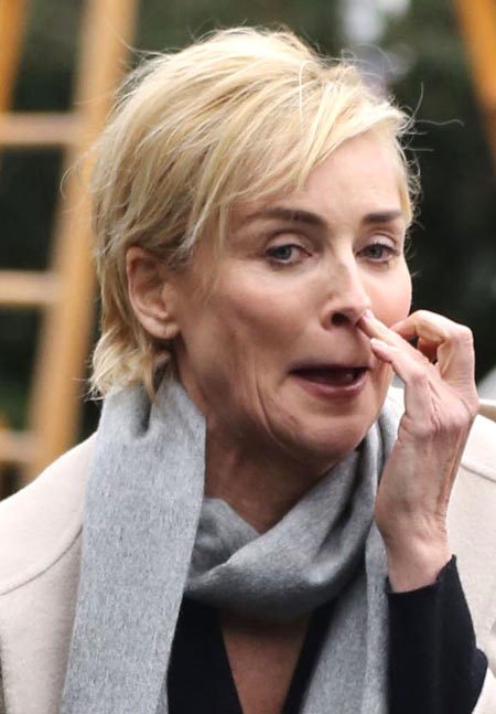 sharonstone201437_04