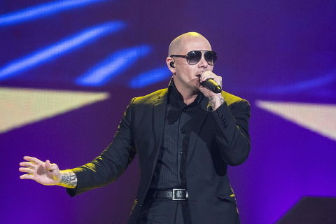 ピットブル_462975348