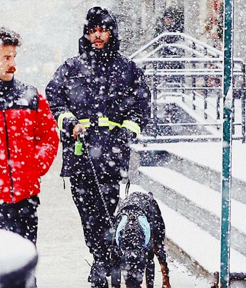 スクリーンショット 2018-11-18 01.39.15