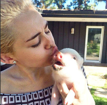 miley20149_04